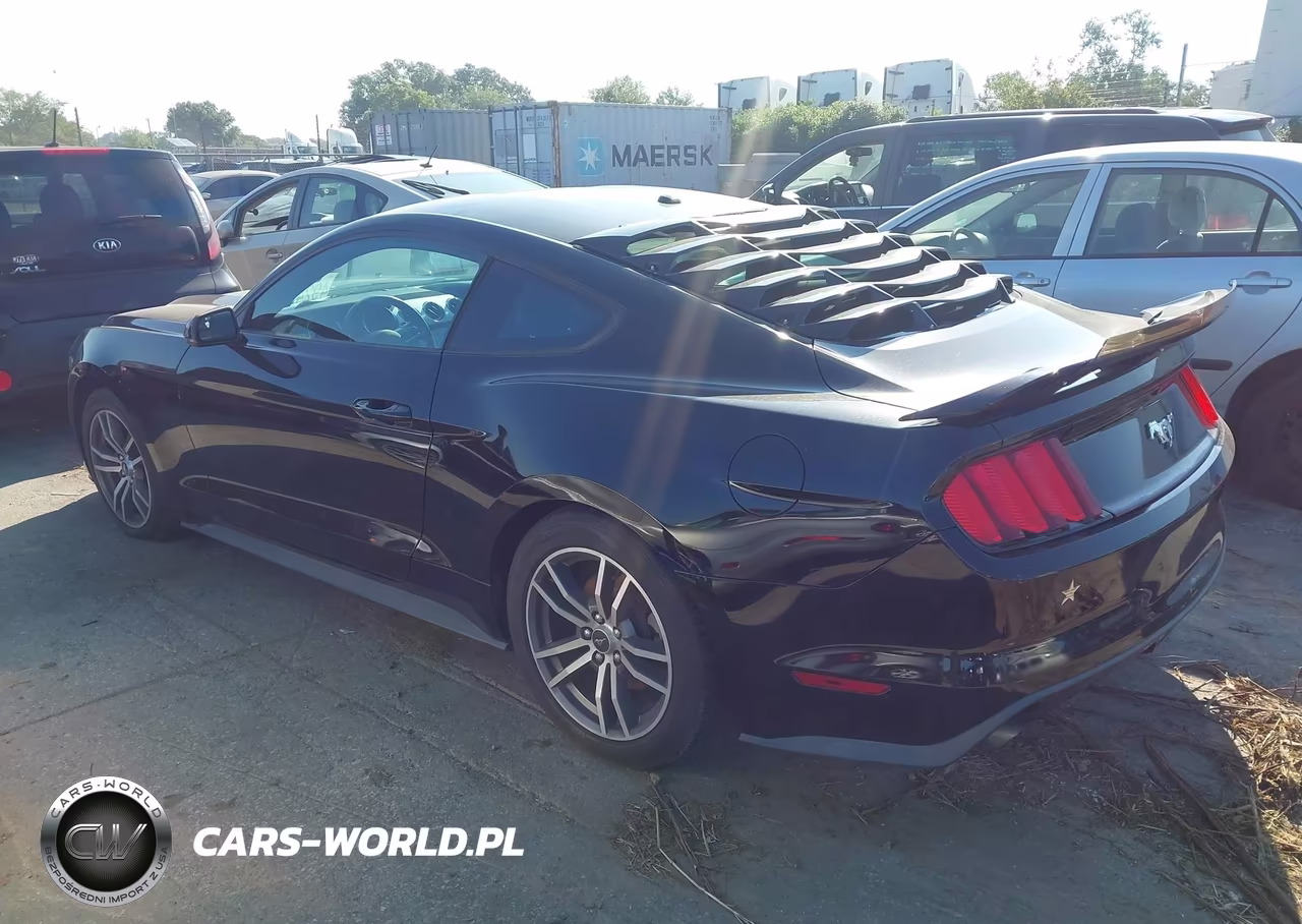 2015 Ford Mustang Ecoboost VIN:1FA6P8TH5F5377916 - 14