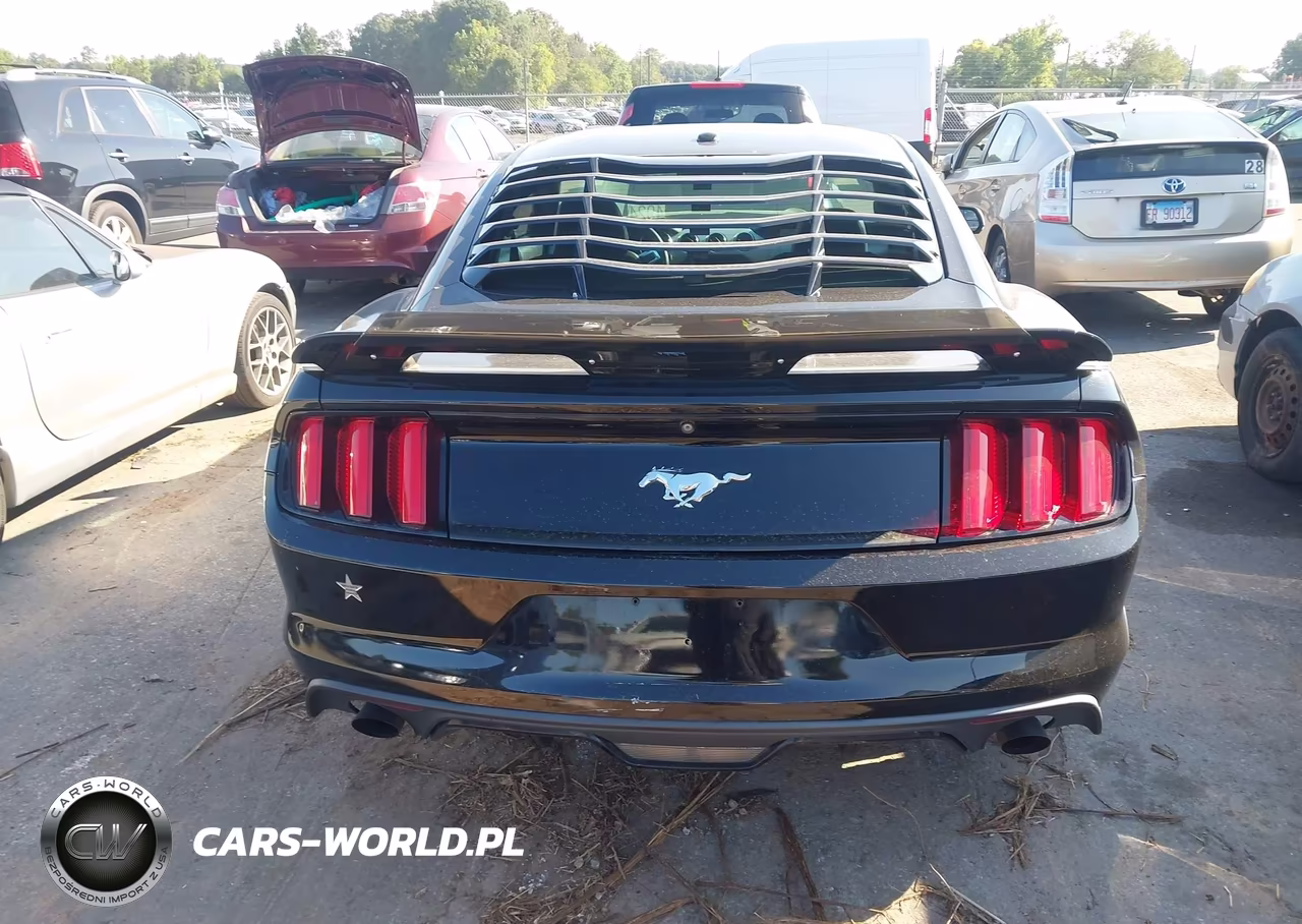 2015 Ford Mustang Ecoboost VIN:1FA6P8TH5F5377916 - 16