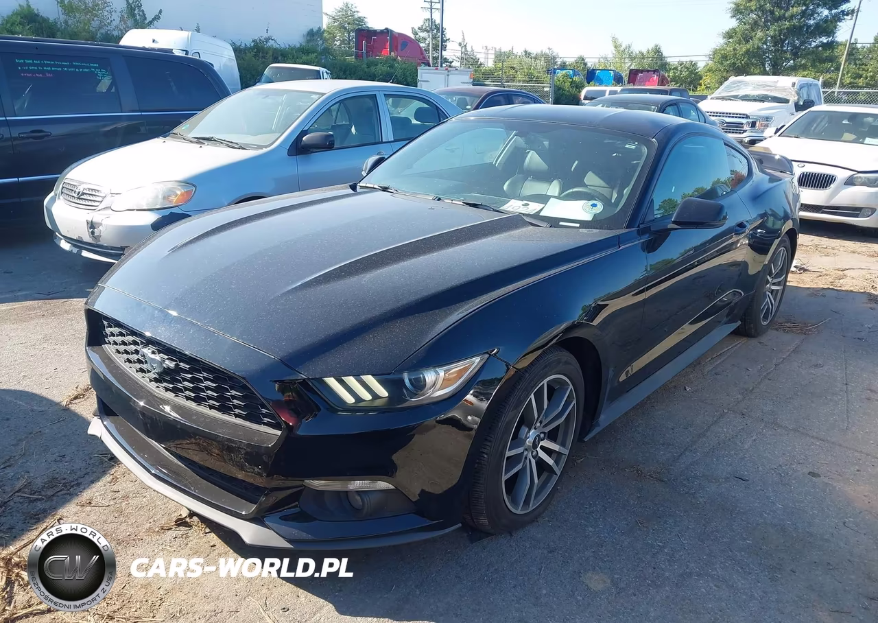 2015 Ford Mustang Ecoboost VIN:1FA6P8TH5F5377916 - 2