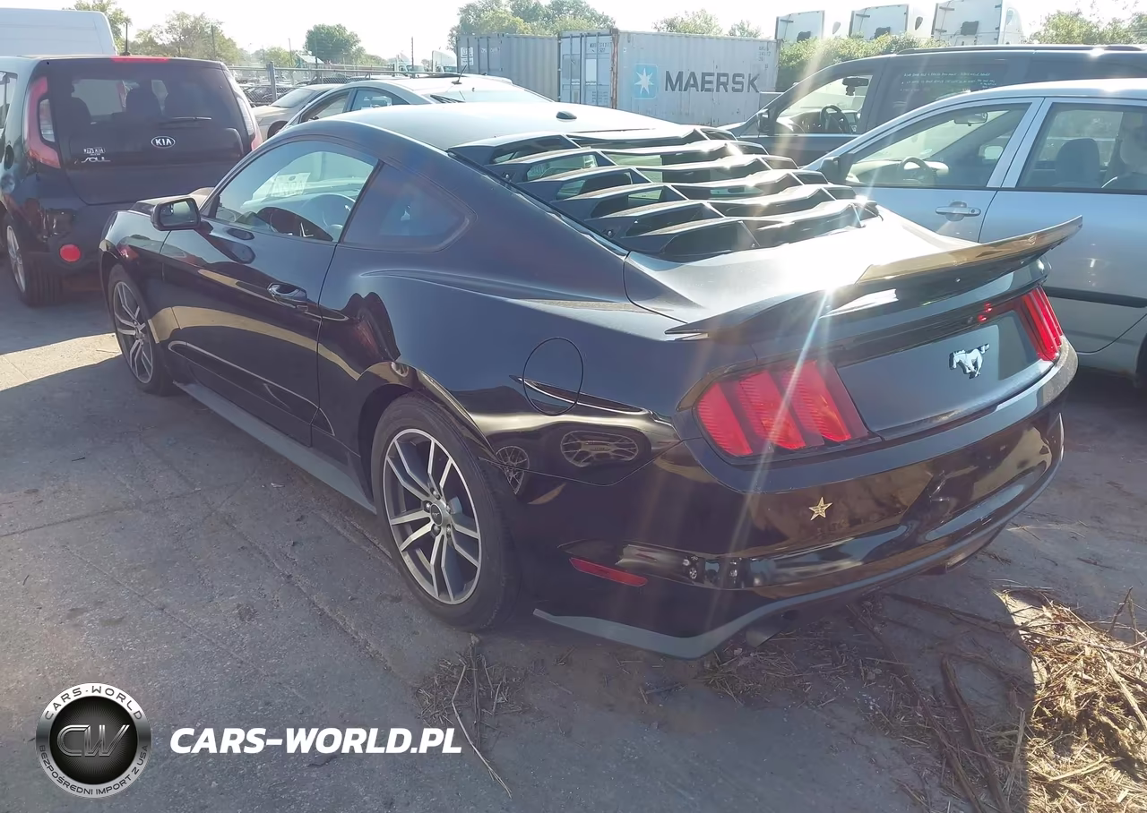 2015 Ford Mustang Ecoboost VIN:1FA6P8TH5F5377916 - 3