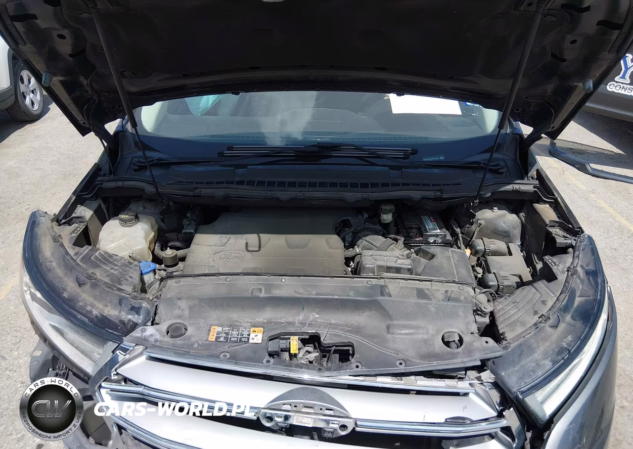 2016 Ford Edge Sel VIN:2FMPK3J88GBC17427 - 10