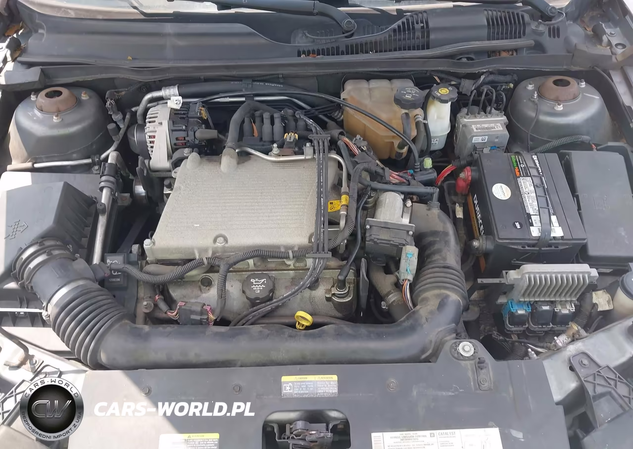 2005 Chevrolet Malibu Ls VIN:1G1ZT54885F169711 - 10