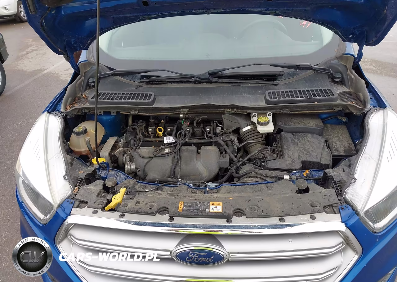 2017 Ford Escape Se VIN:1FMCU9G90HUF10987 - 10