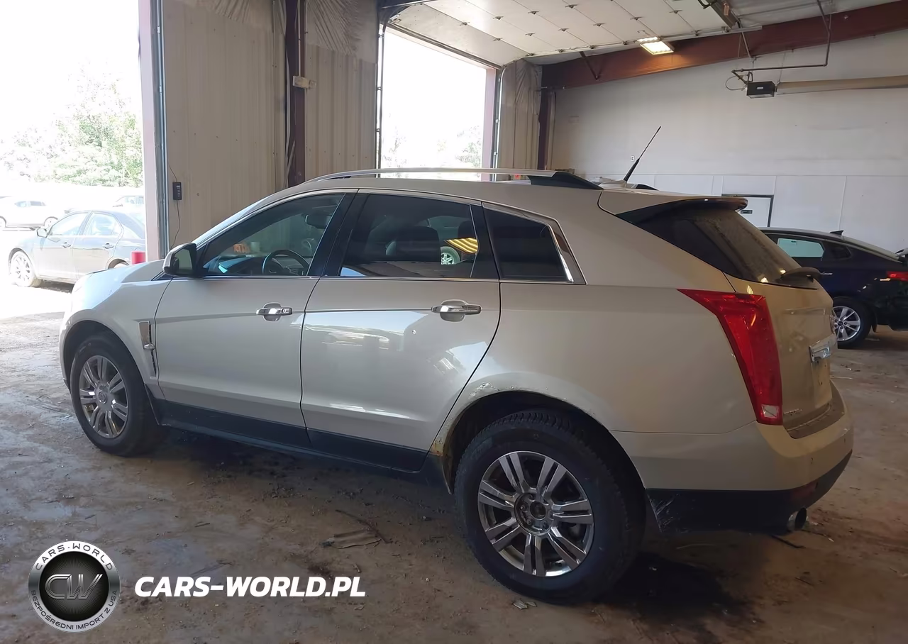 2010 Cadillac Srx Luxury Collection VIN:3GYFNDEY7AS583866 - 3