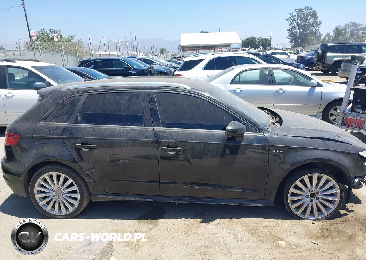 2017 Audi A3 Sportback E-Tron Premium VIN:WAUUPBFF2HA088122 - 14