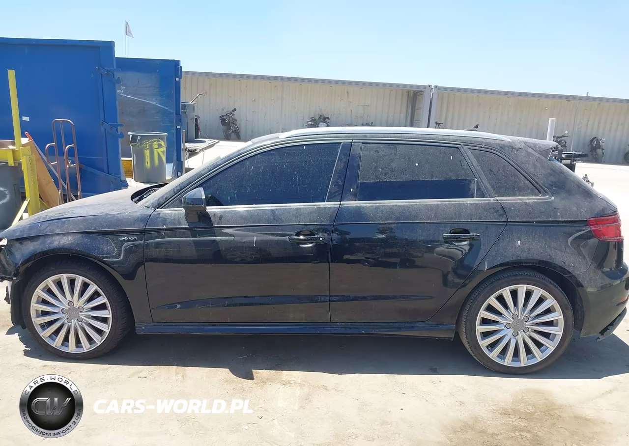 2017 Audi A3 Sportback E-Tron Premium VIN:WAUUPBFF2HA088122 - 15
