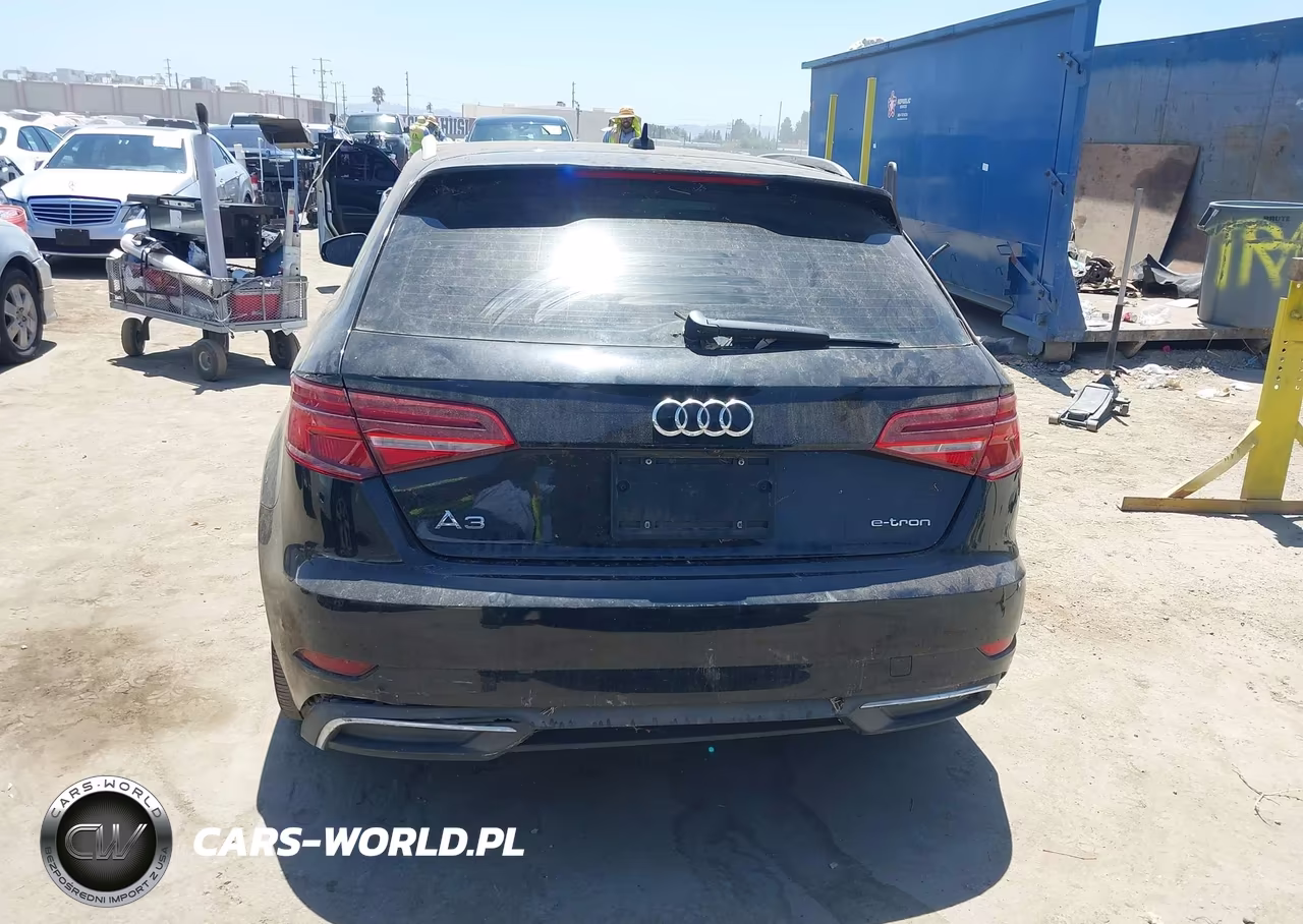 2017 Audi A3 Sportback E-Tron Premium VIN:WAUUPBFF2HA088122 - 17