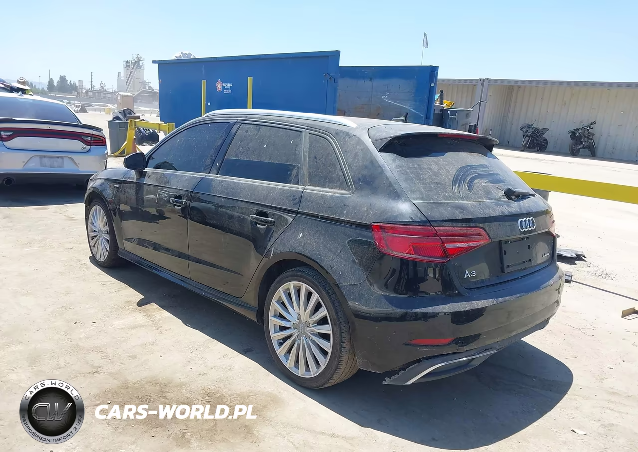 2017 Audi A3 Sportback E-Tron Premium VIN:WAUUPBFF2HA088122 - 3