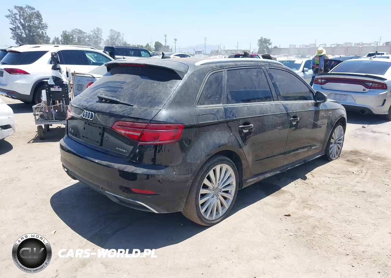 2017 Audi A3 Sportback E-Tron Premium VIN:WAUUPBFF2HA088122 - 4