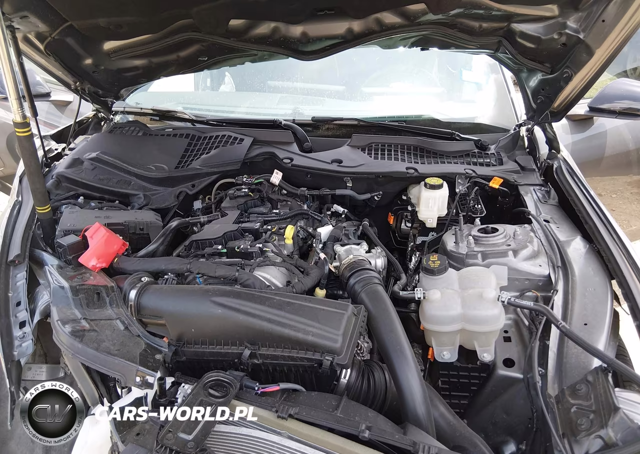 2026 Ford Mustang Ecoboost Fastback VIN:1FA6P8TH7T5100891 - 10