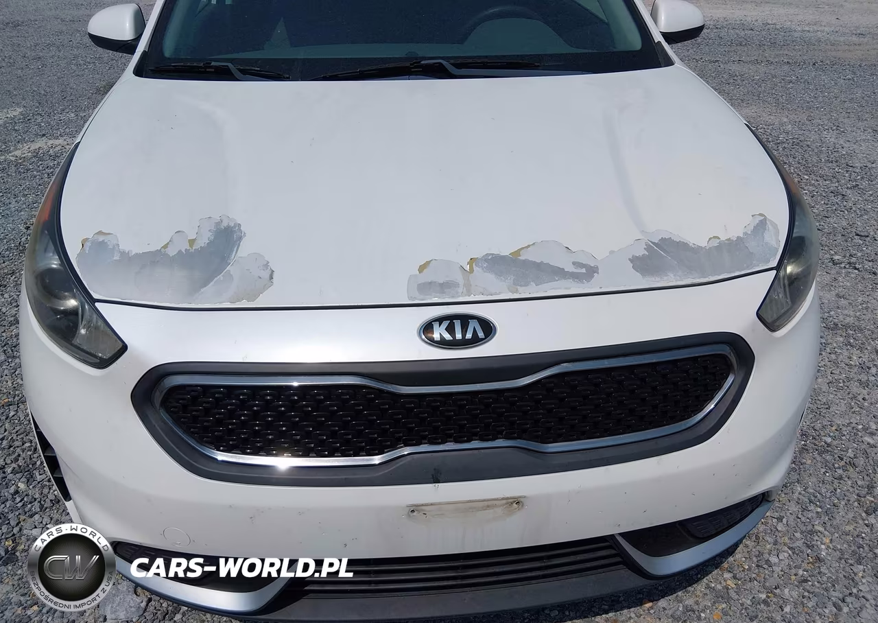 2018 Kia Niro Fe VIN:KNDCB3LCXJ5203545 - 6