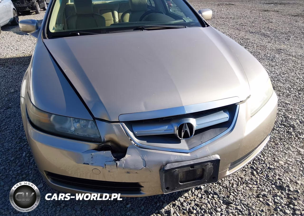 2004 Acura Tl VIN:19UUA66294A009274 - 19