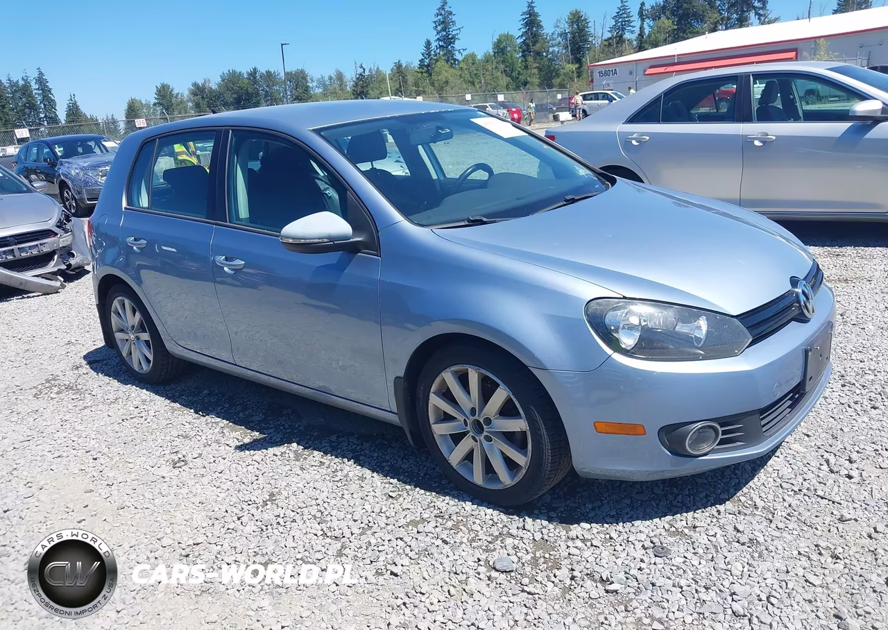 2010 Volkswagen Golf Tdi