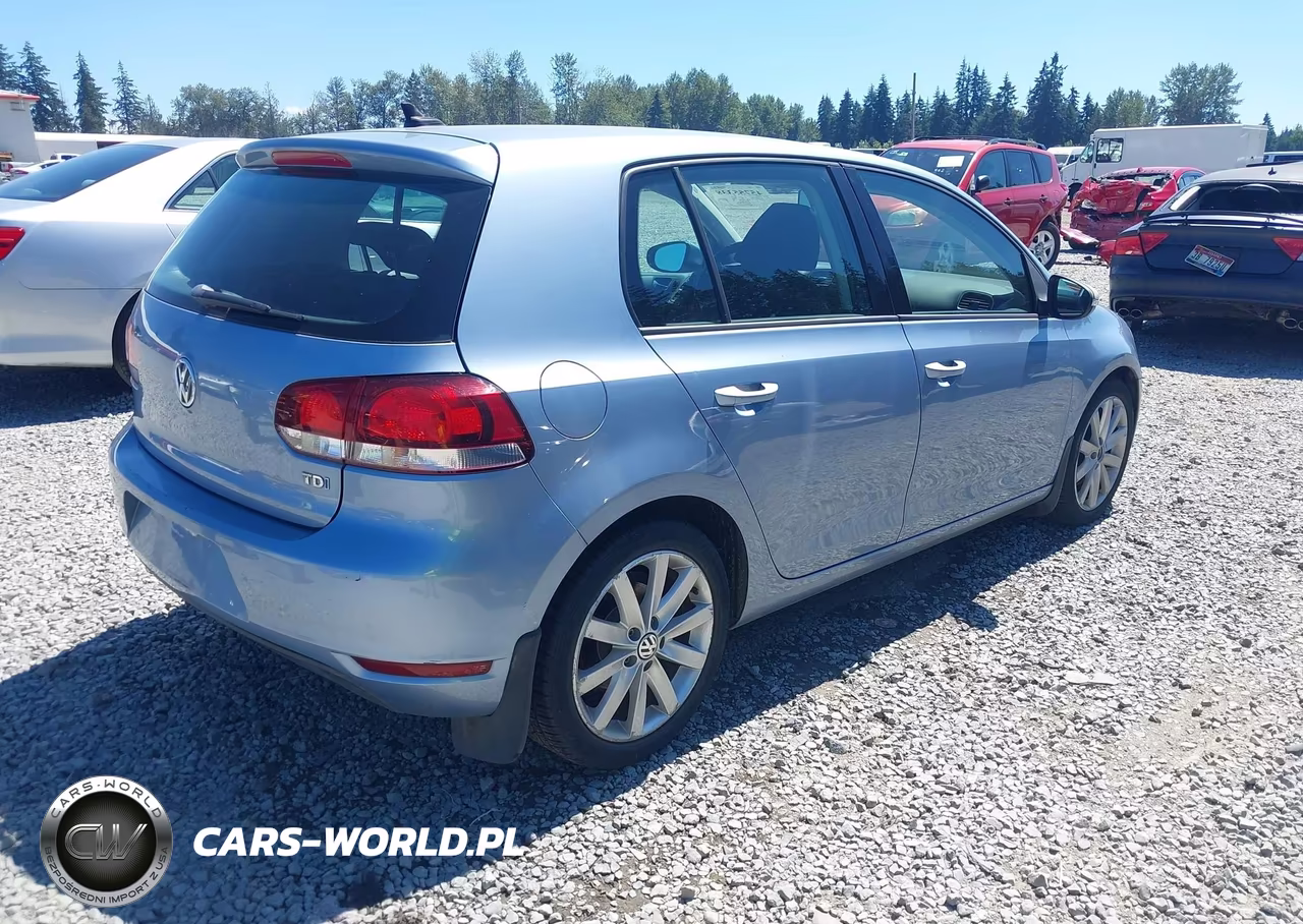 2010 Volkswagen Golf Tdi VIN:WVWDM7AJ8AW299905 - 4