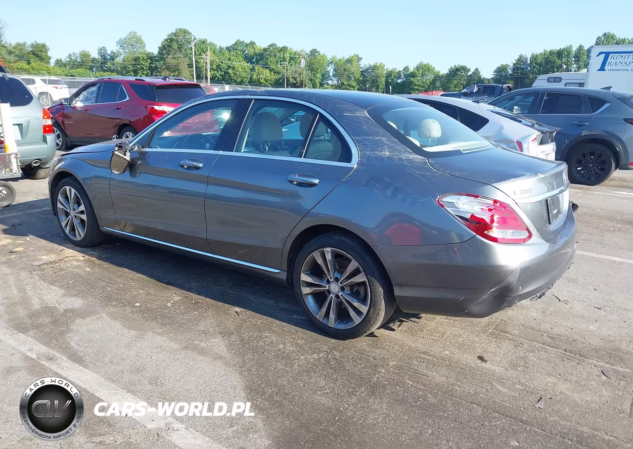 2017 Mercedes-Benz C 300 Luxury VIN:55SWF4JB0HU208097 - 3