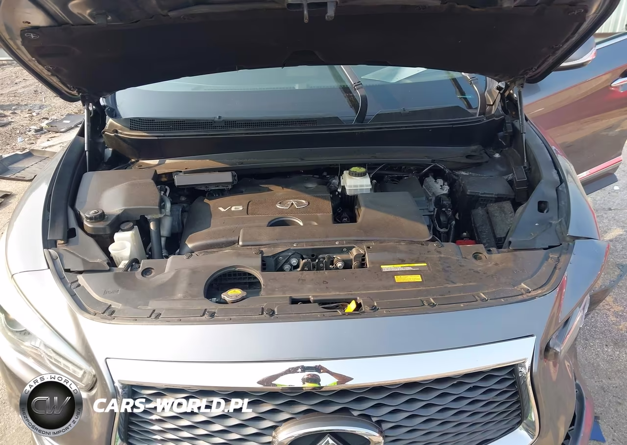 2020 Infiniti Qx60 Pure VIN:5N1DL0MN8LC529421 - 10