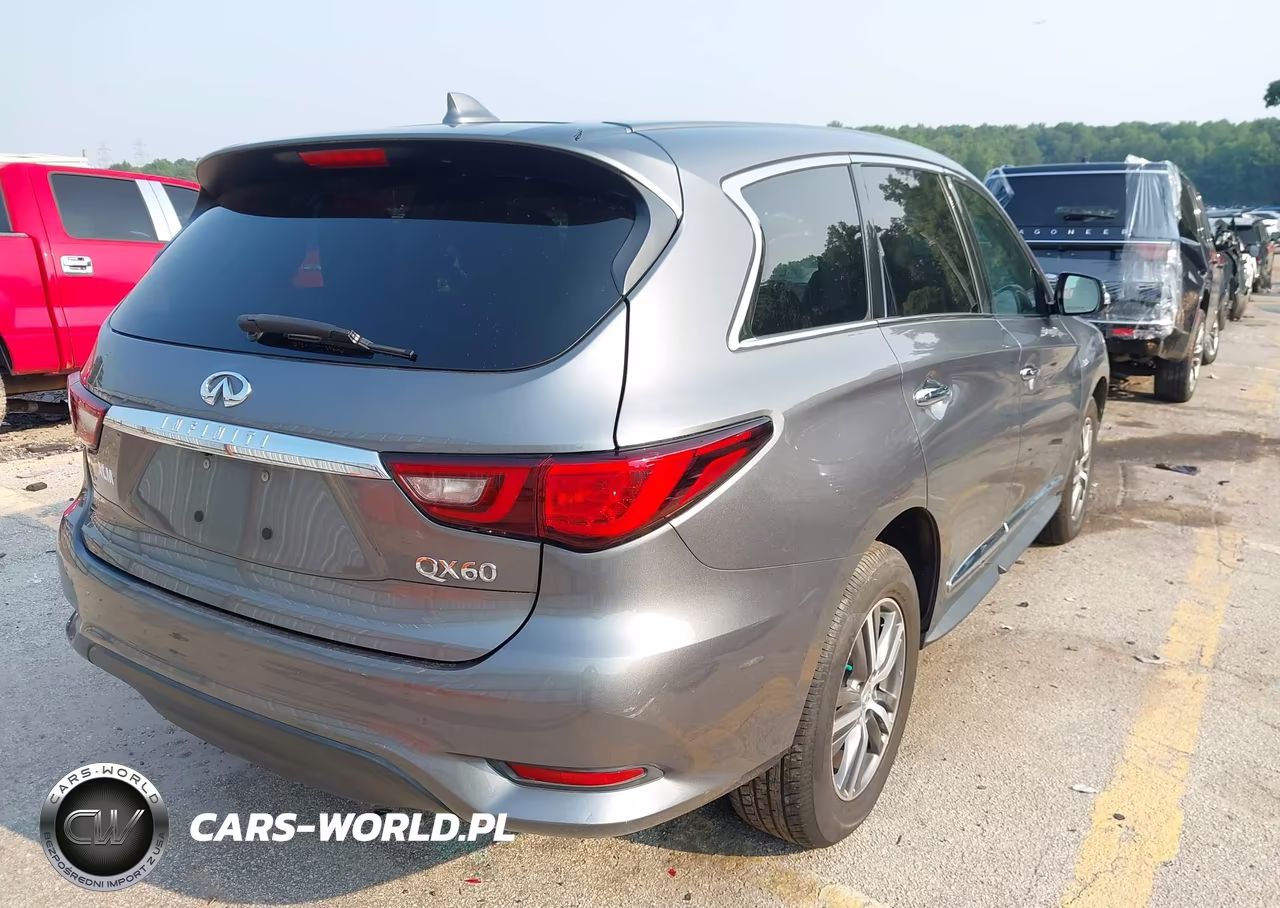 2020 Infiniti Qx60 Pure VIN:5N1DL0MN8LC529421 - 4