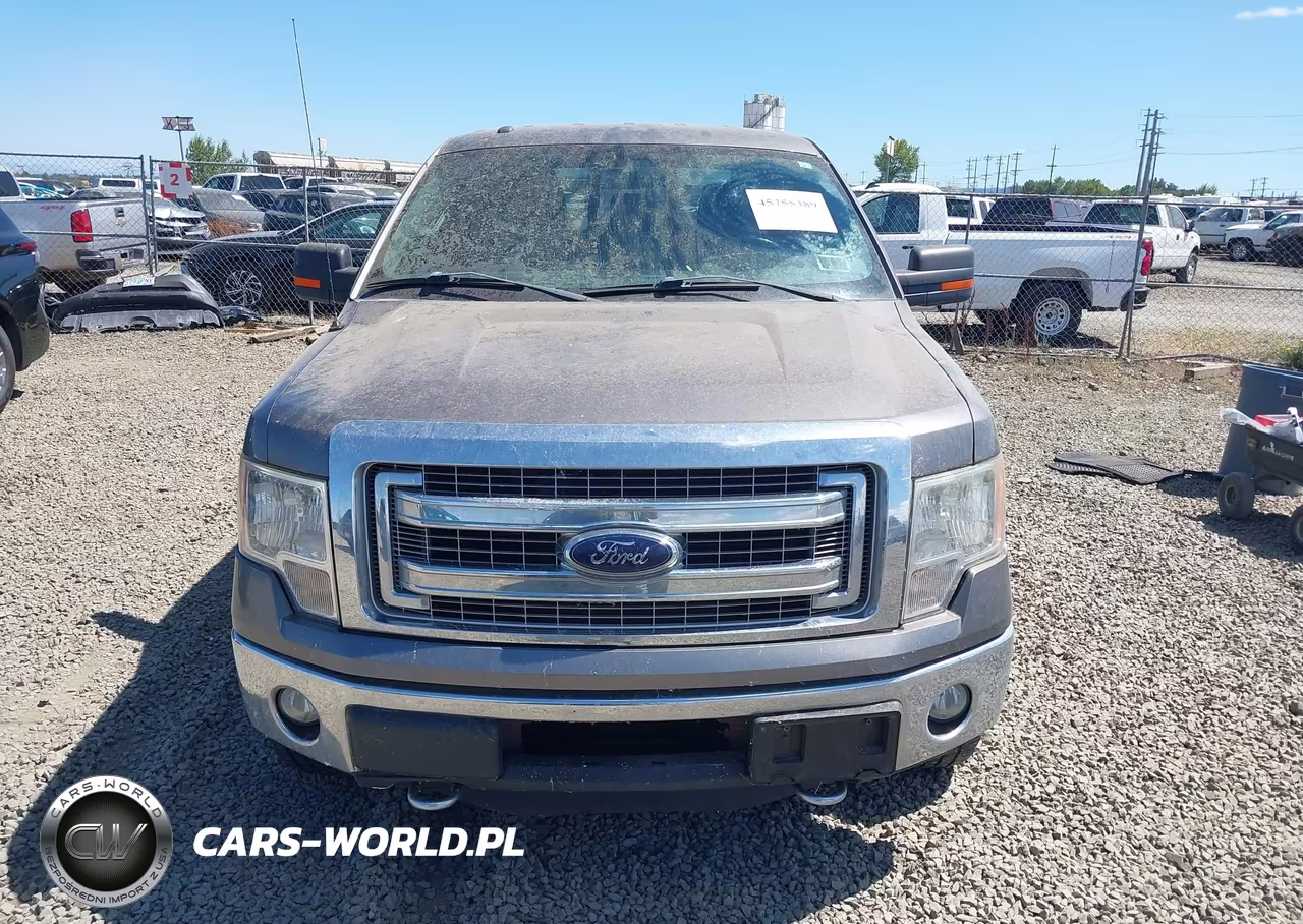 2013 Ford F-150 Xlt VIN:1FTFX1ET2DFA36192 - 12