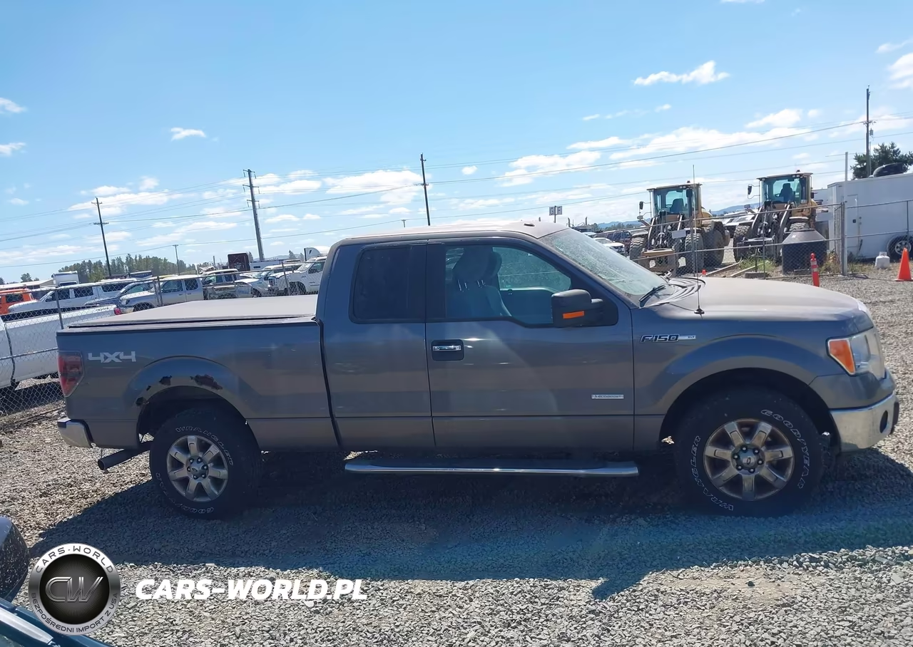2013 Ford F-150 Xlt VIN:1FTFX1ET2DFA36192 - 13