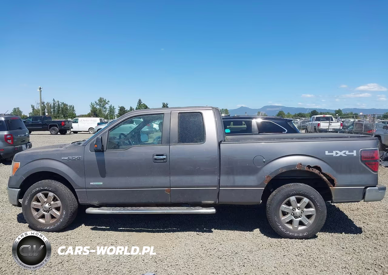 2013 Ford F-150 Xlt VIN:1FTFX1ET2DFA36192 - 14