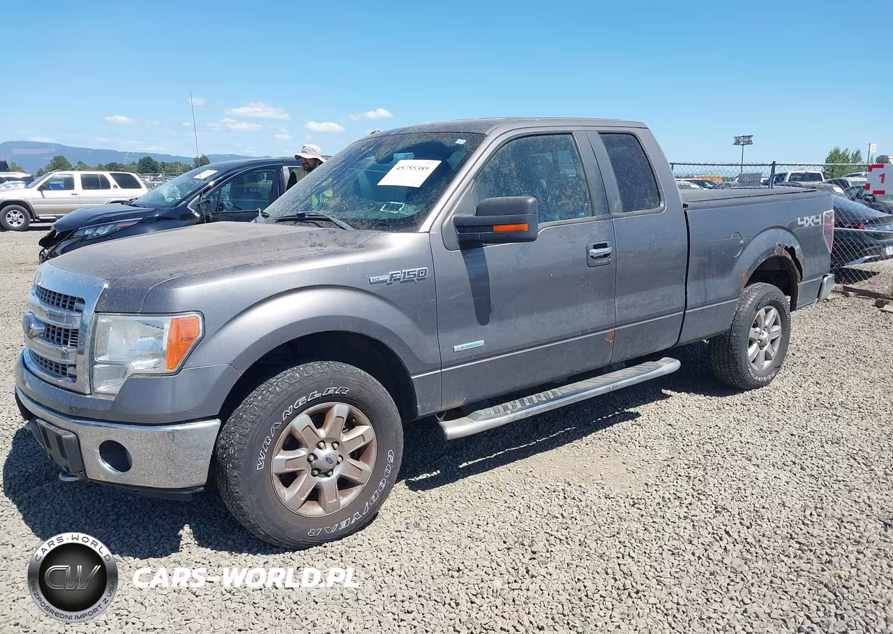 2013 Ford F-150 Xlt VIN:1FTFX1ET2DFA36192 - 2