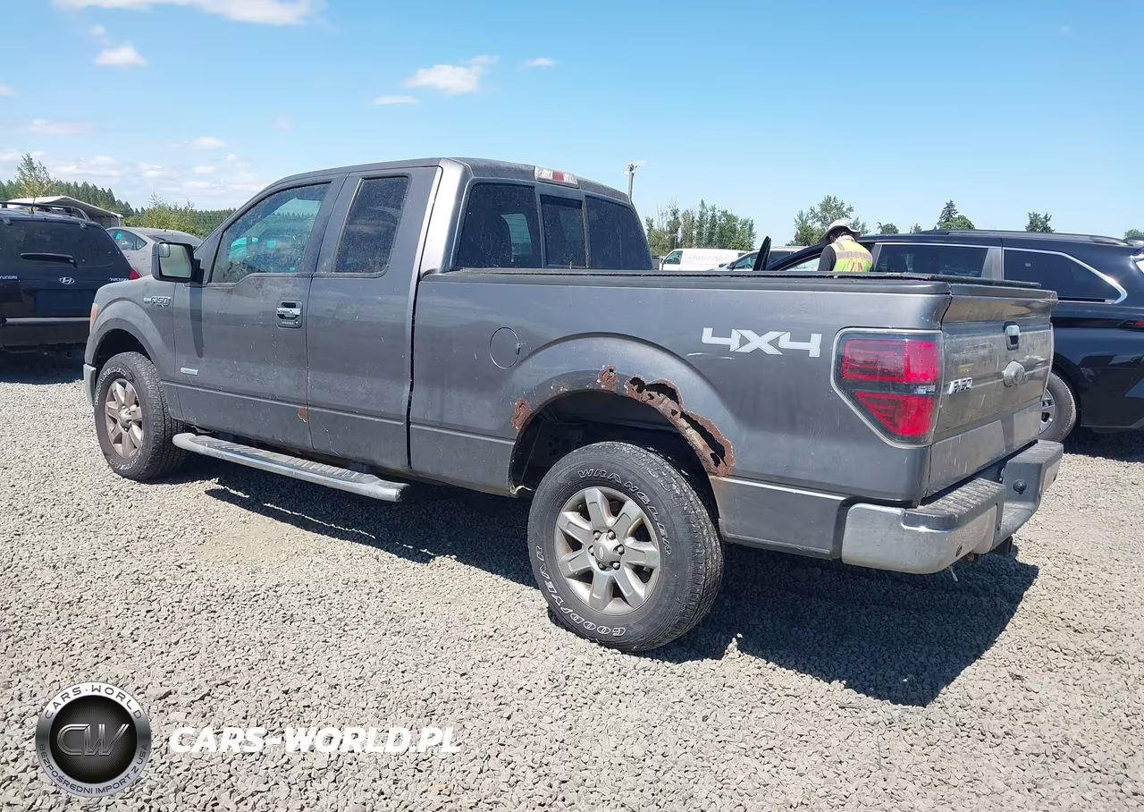 2013 Ford F-150 Xlt VIN:1FTFX1ET2DFA36192 - 3