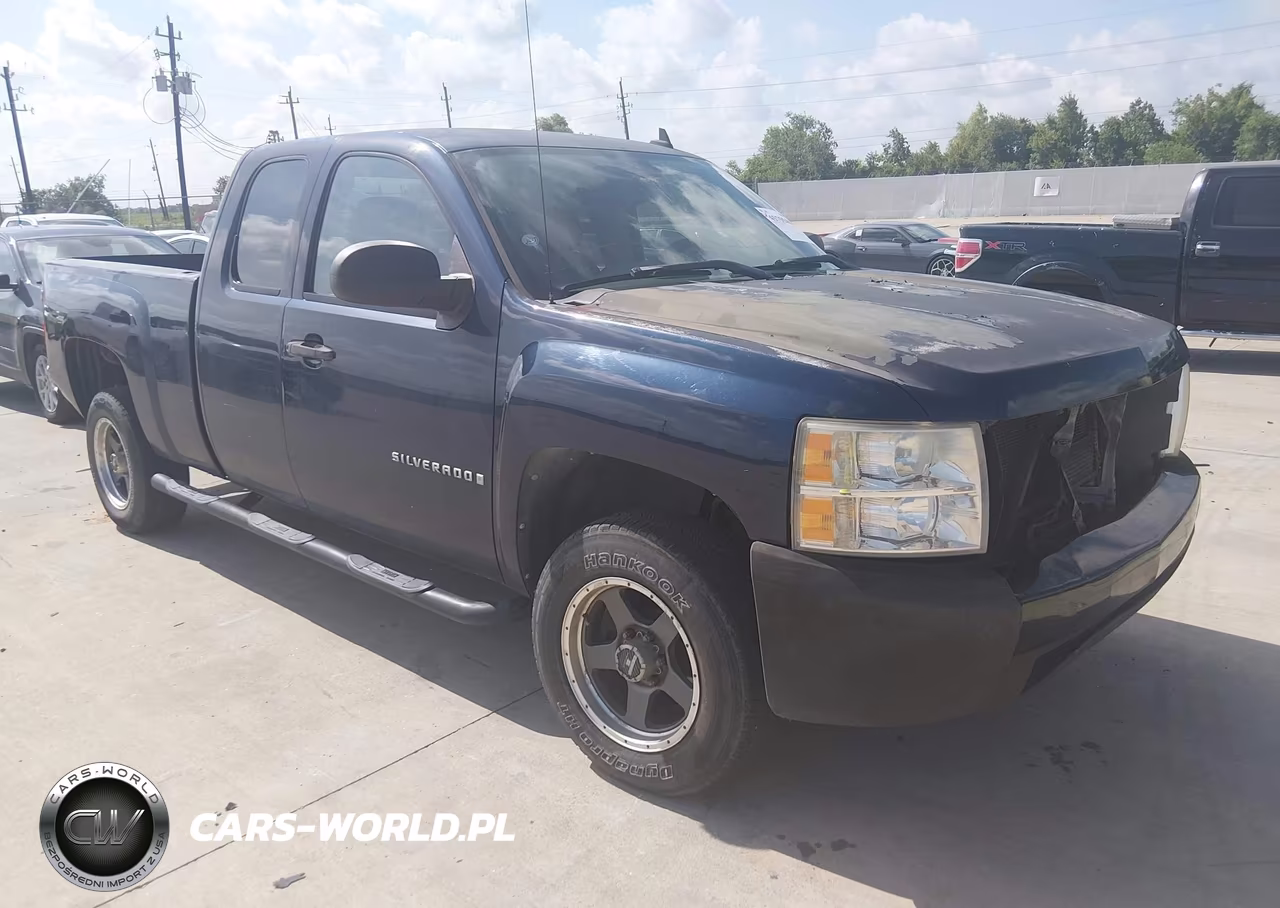 2009 Chevrolet Silverado 1500 Work Truck – zdjęcie 1 z 17