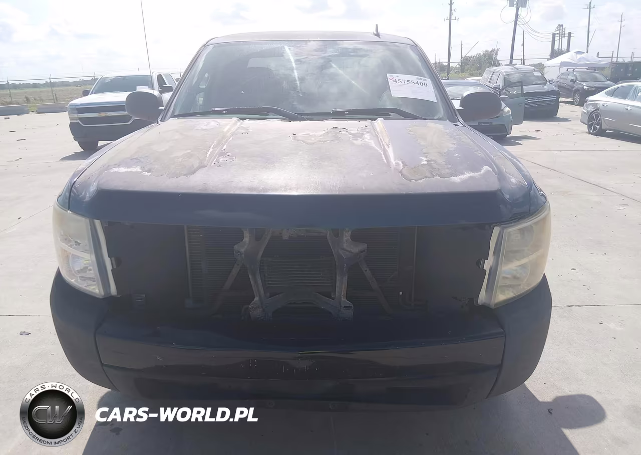 2009 Chevrolet Silverado 1500 Work Truck VIN:1GCEC19J39Z208428 - 12