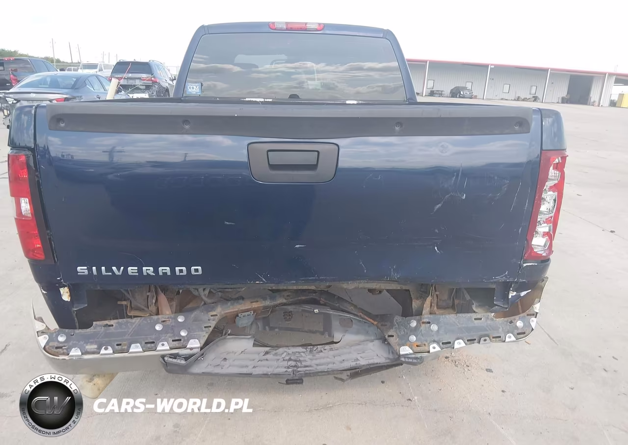2009 Chevrolet Silverado 1500 Work Truck VIN:1GCEC19J39Z208428 - 16
