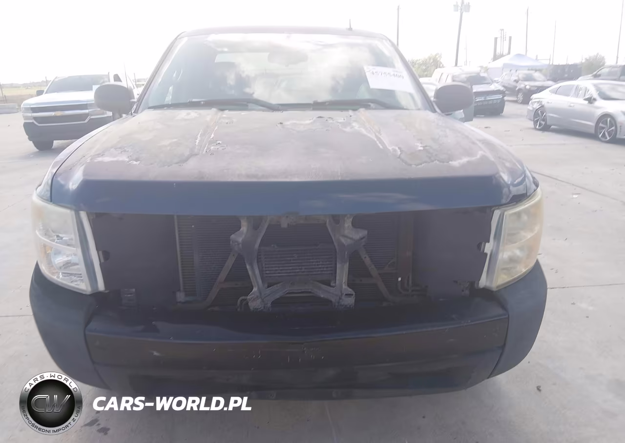 2009 Chevrolet Silverado 1500 Work Truck VIN:1GCEC19J39Z208428 - 17