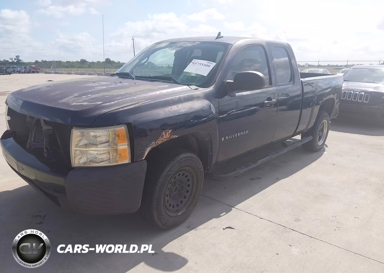 2009 Chevrolet Silverado 1500 Work Truck VIN:1GCEC19J39Z208428 - 2