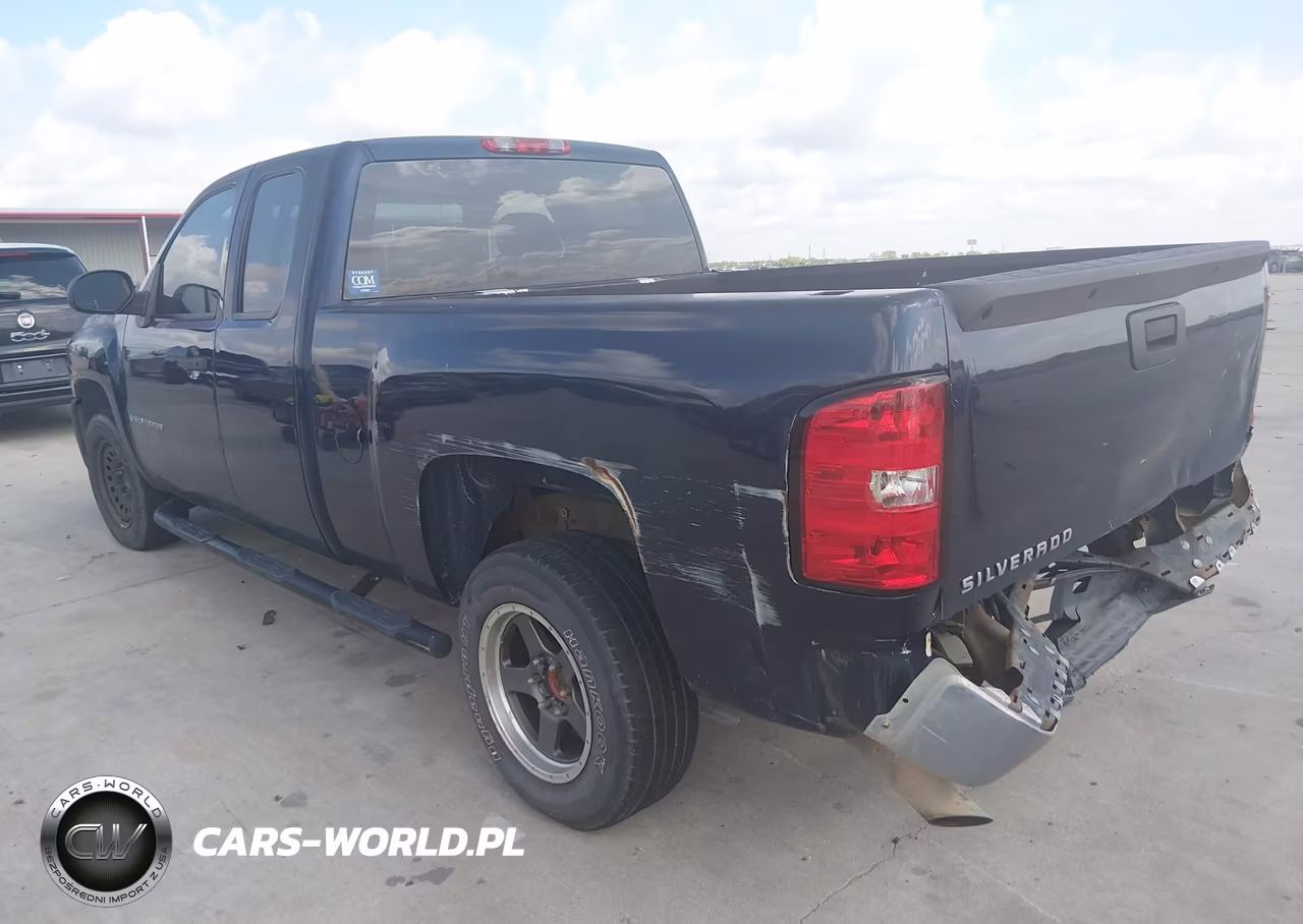 2009 Chevrolet Silverado 1500 Work Truck VIN:1GCEC19J39Z208428 - 3