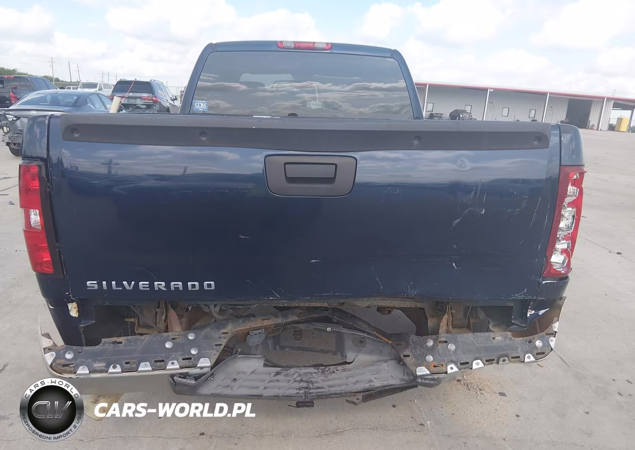 2009 Chevrolet Silverado 1500 Work Truck VIN:1GCEC19J39Z208428 - 6