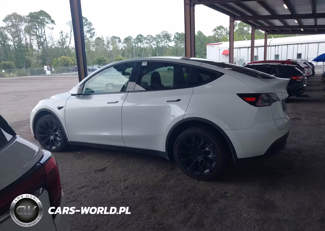 2024 Tesla Model Y Long Range Dual Motor All-Wheel Drive VIN:7SAYGDEE6RF082716 - 12