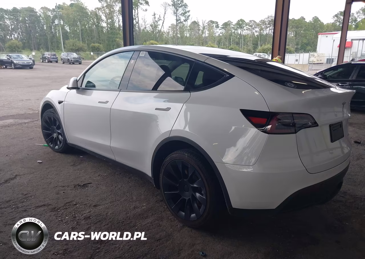 2024 Tesla Model Y Long Range Dual Motor All-Wheel Drive VIN:7SAYGDEE6RF082716 - 3