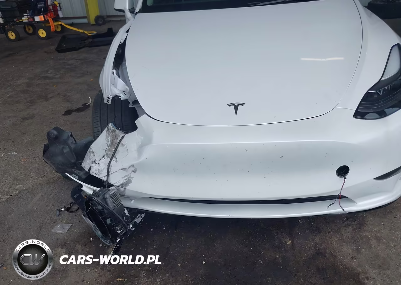 2024 Tesla Model Y Long Range Dual Motor All-Wheel Drive VIN:7SAYGDEE6RF082716 - 6