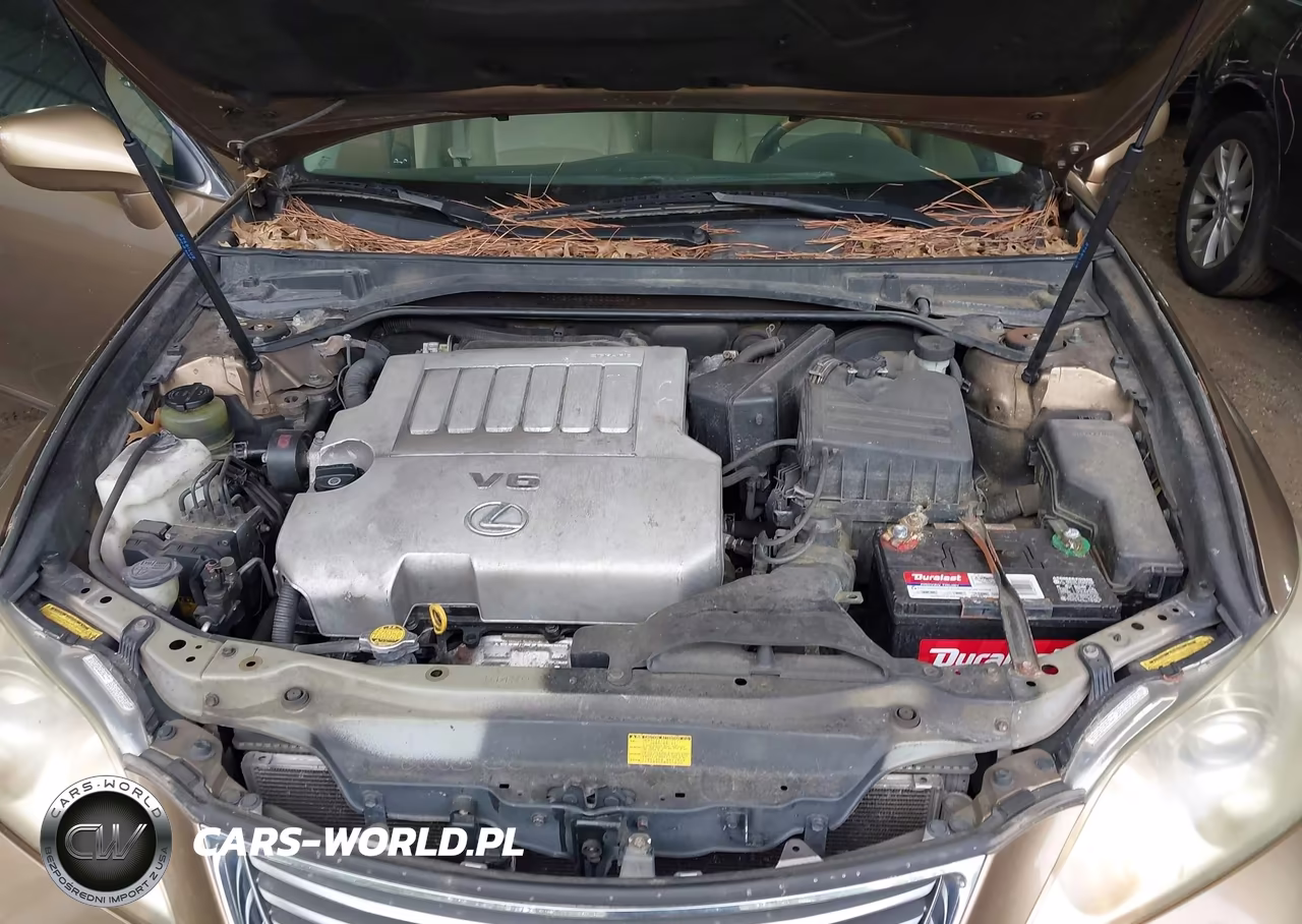 2007 Lexus Es 350 VIN:JTHBJ46G072002491 - 10