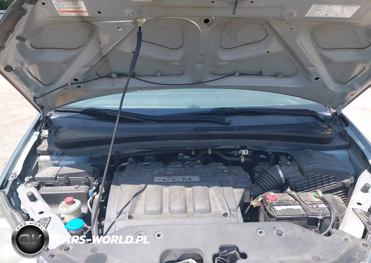 2009 Honda Odyssey Ex-L VIN:5FNRL38659B047449 - 10