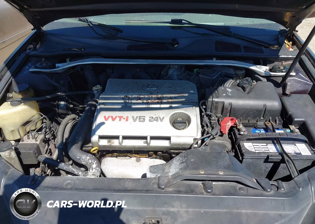 2003 Lexus Es 300 VIN:JTHBF30G630100421 - 10