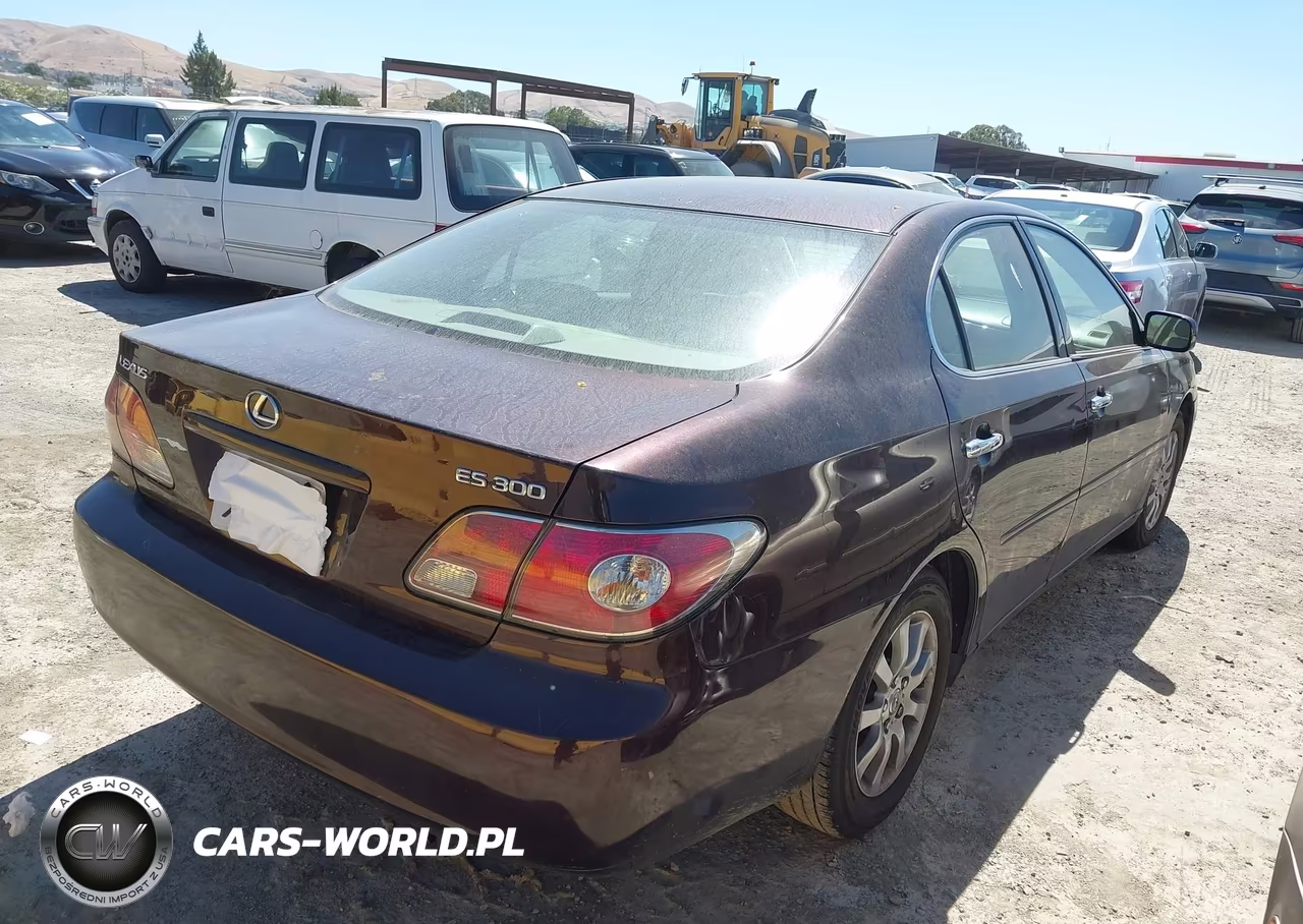 2003 Lexus Es 300 VIN:JTHBF30G630100421 - 4