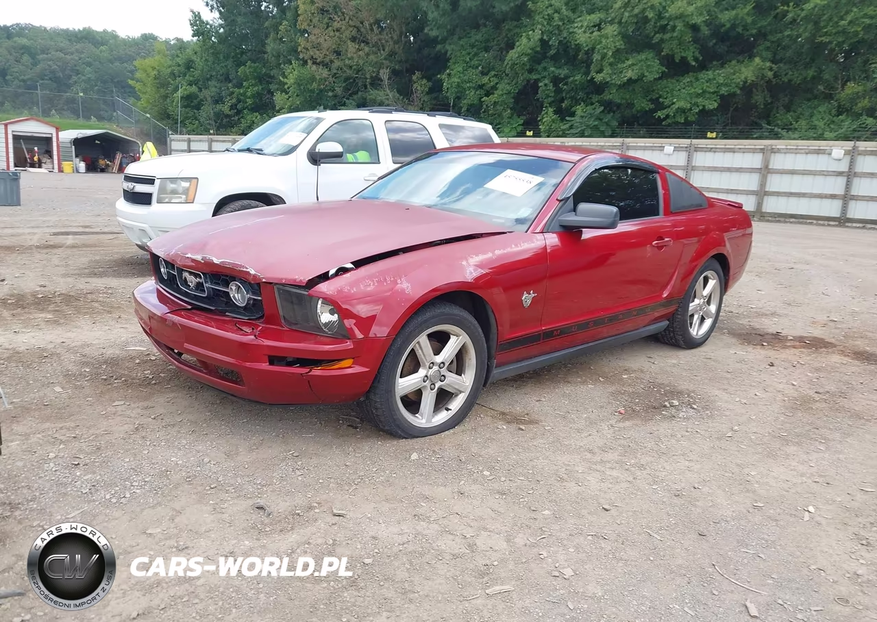 2009 Ford Mustang V6-V6 Premium VIN:1ZVHT80N895124289 - 2