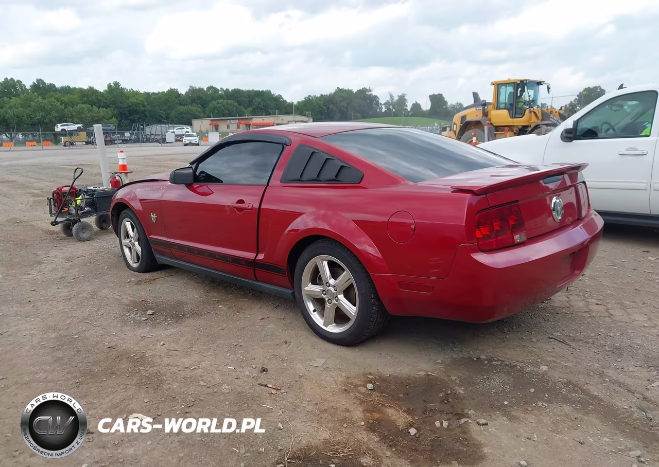 2009 Ford Mustang V6-V6 Premium VIN:1ZVHT80N895124289 - 3