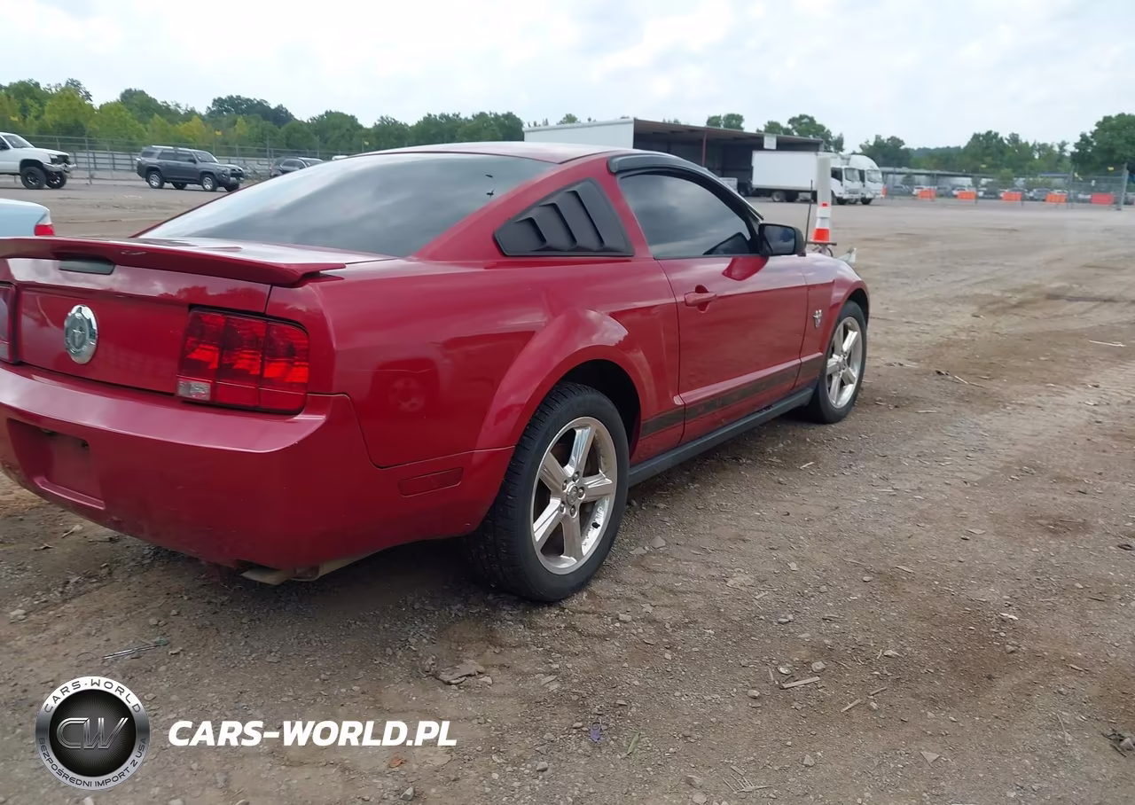 2009 Ford Mustang V6-V6 Premium VIN:1ZVHT80N895124289 - 4