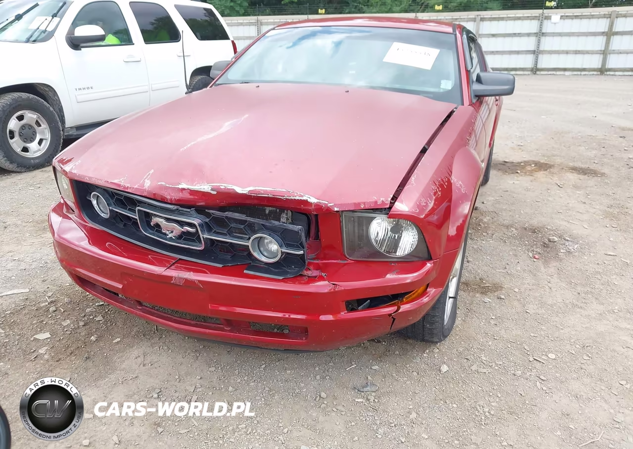 2009 Ford Mustang V6-V6 Premium VIN:1ZVHT80N895124289 - 6