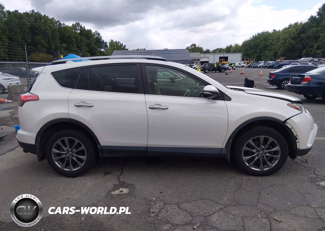 2018 Toyota Rav4 Limited VIN:JTMDFREV5JJ222747 - 13