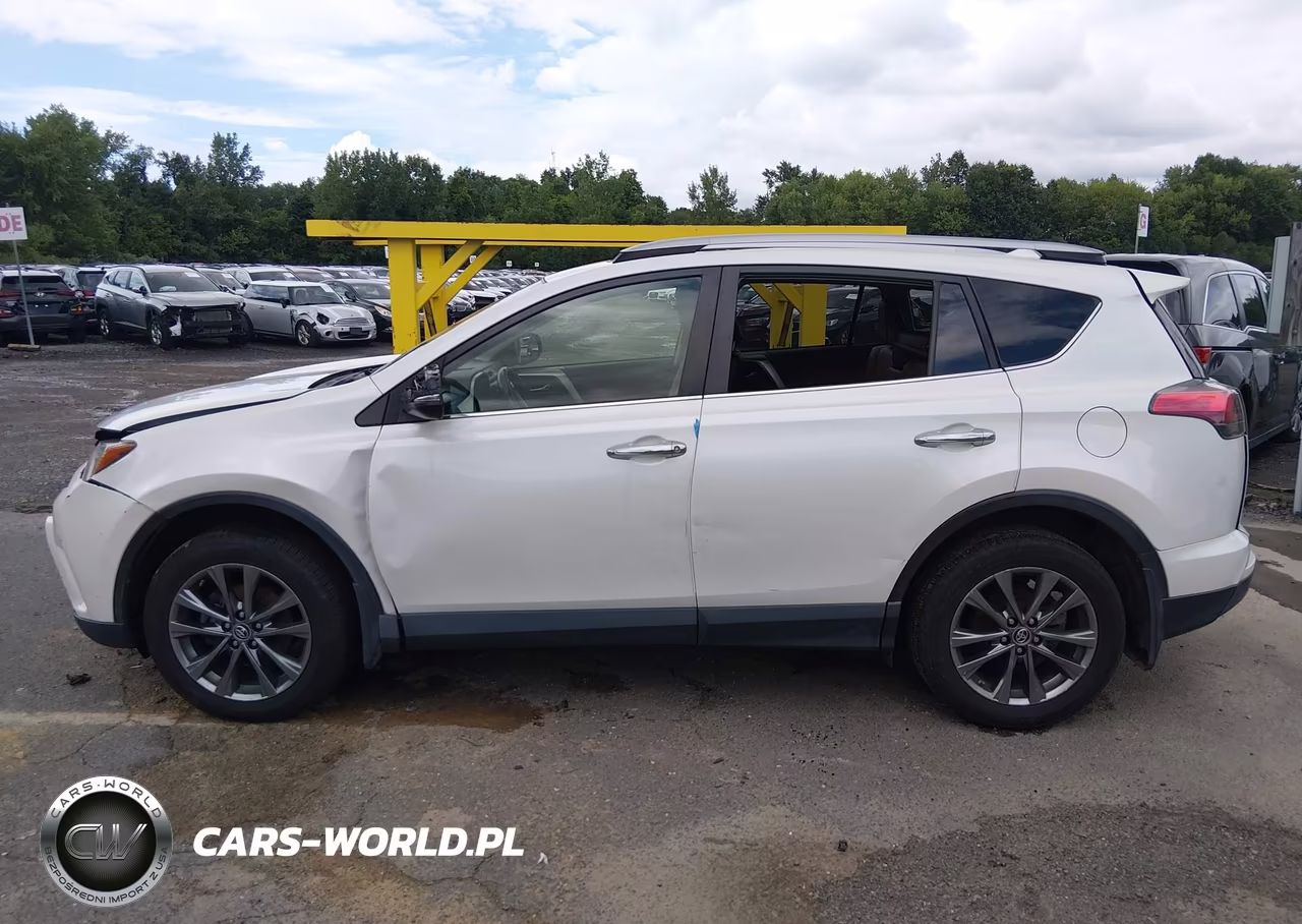 2018 Toyota Rav4 Limited VIN:JTMDFREV5JJ222747 - 14