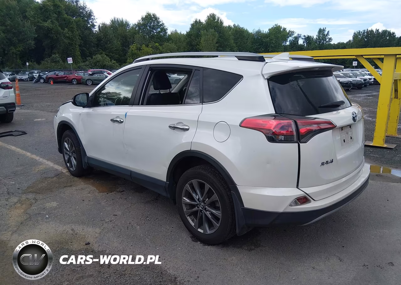 2018 Toyota Rav4 Limited VIN:JTMDFREV5JJ222747 - 3