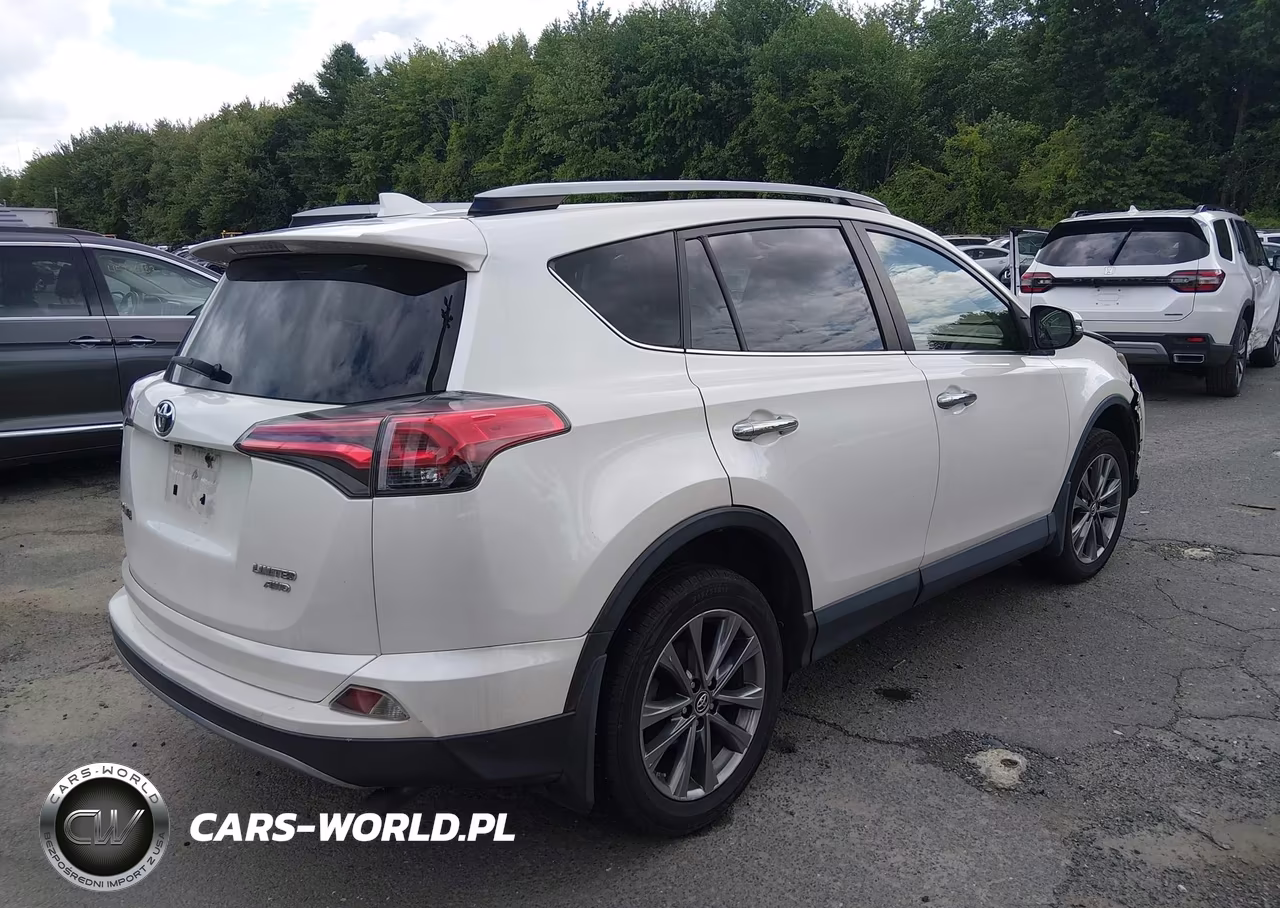 2018 Toyota Rav4 Limited VIN:JTMDFREV5JJ222747 - 4