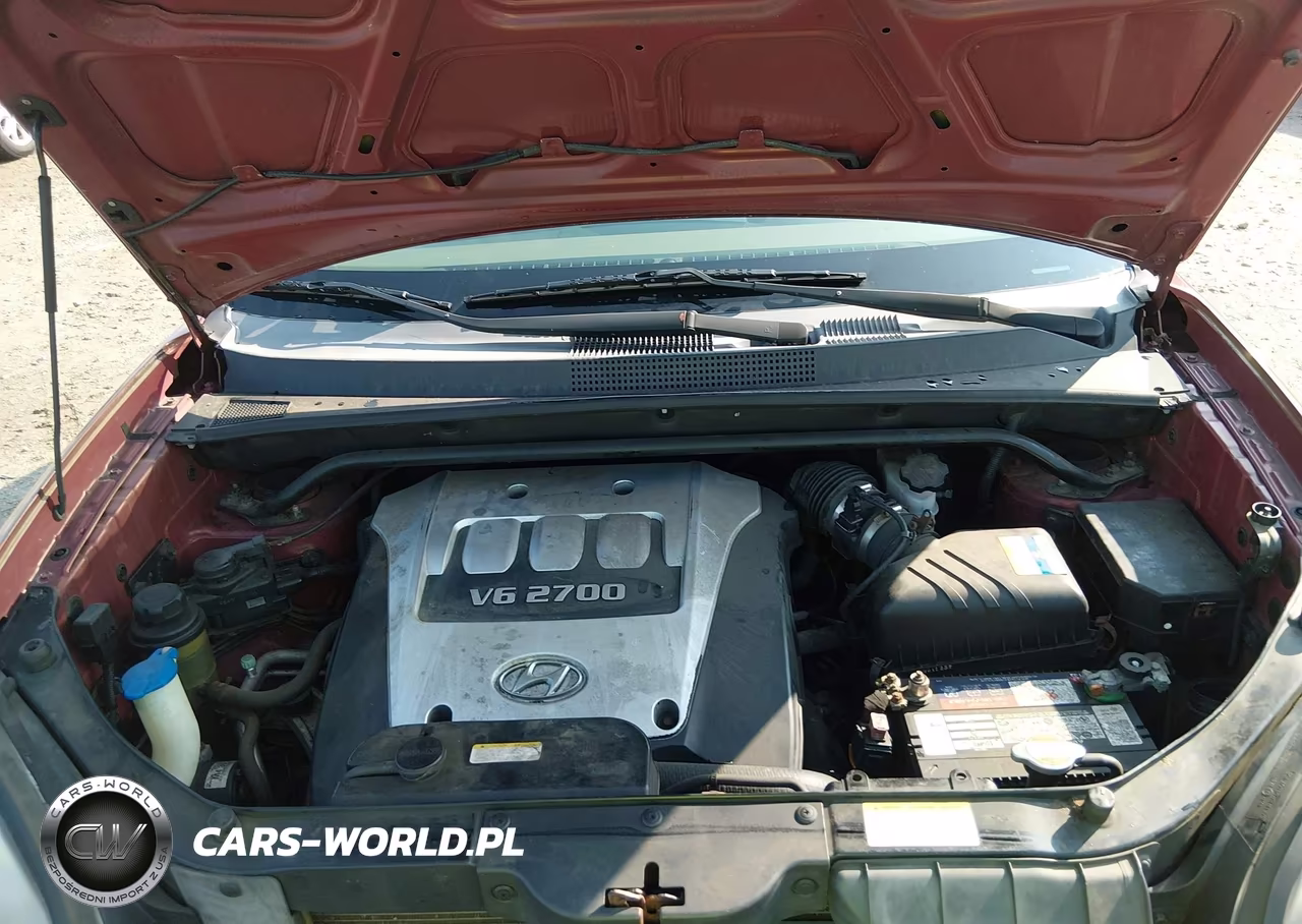 2006 Hyundai Tucson Gls-Limited VIN:KM8JN12D76U346202 - 10