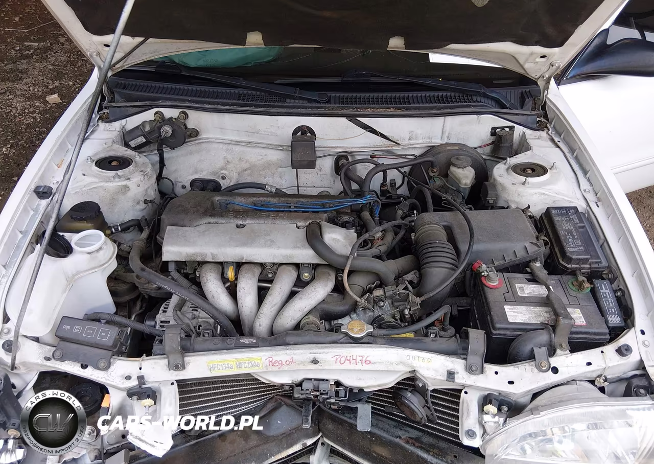 1998 Toyota Corolla Ce VIN:1NXBR12E3WZ081246 - 10